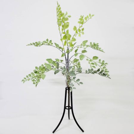 Куст садовый Конэко-О 60 см