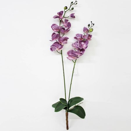 Орхидея фаленопсис с листьями Конэко-О KR_812 90 см орхидея фаленопсис конэко о 76121 102 см