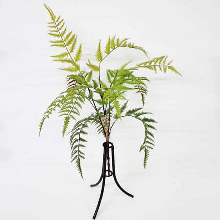 Папоротник Конэко-О KR_10133 60 см