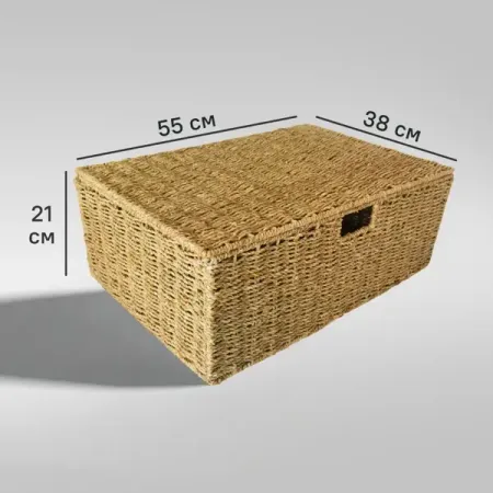Корзина с крышкой для хранения 55x21x38 см водоросли цвет натуральный екатерина евгеньевна зуева диагностика онкогематологических заболеваний с помощью помощью проточной цитометрии