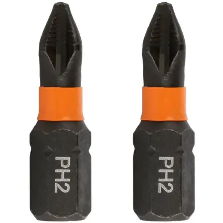 Бита магнитная Rage 554152 PH2x25 мм, 2 шт.