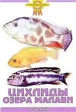 Александр Николаевич Гуржий Цихлиды озера Малави