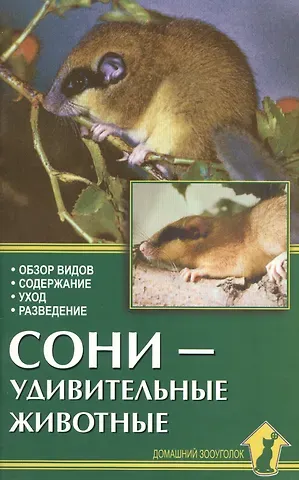 Александр Иванович Рахманов Аквар.Сони-удивительные животные