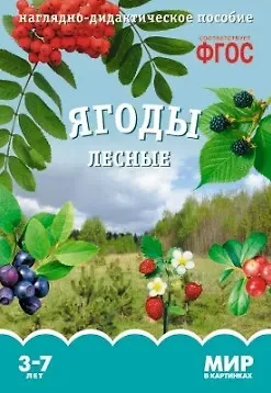 Т. Минишева Ягоды лесные. Наглядно-дидактическое пособие. ФГОС