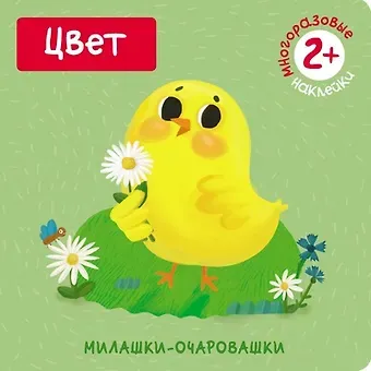 Мария Романова Цвет (Книжка с наклейками)