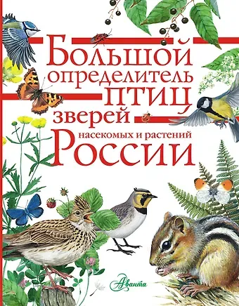 Пётр Михайлович Волцит Большой определитель зверей, амфибий, рептилий, птиц, насекомых и растений России