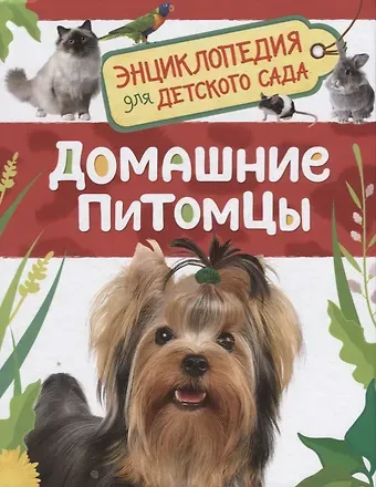 Ирина Владимировна Травина Домашние питомцы. Энциклопедия для детского сада