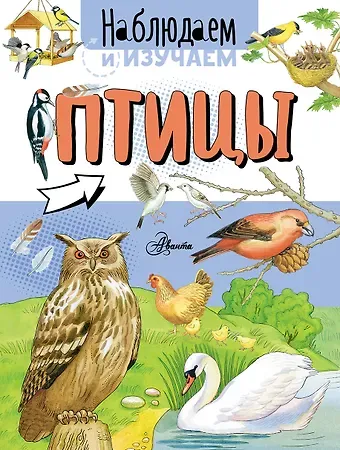Алиса Андреевна Ткачёва, Алиса Андреевна Ткачева Птицы