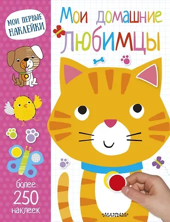 Бой Мои домашние любимцы