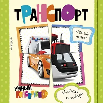 Светлана Анатольевна Станкевич Транспорт