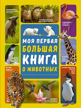 Любовь Дмитриевна Вайткене Моя первая большая книга о животных