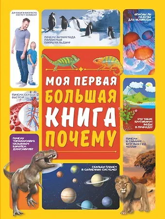 Дарья Ивановна Ермакович Моя первая большая книга ПОЧЕМУ