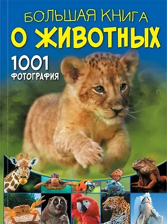 Дарья Ивановна Ермакович Большая книга о животных. 1001 фотография