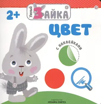 Умный зайка. Цвет