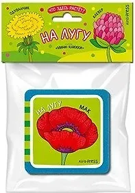 Елена Николаевна Куликова Мини-книжки ЭВА. Что здесь растёт? На лугу