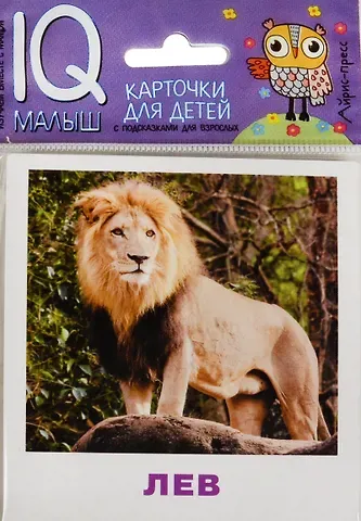 Н.П. Ходюшина Умный малыш. Животные жарких стран. Набор карточек для детей.