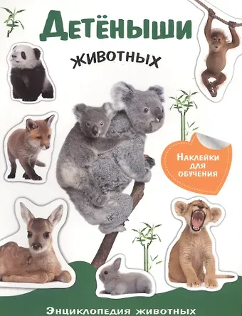 Евгения Егоровна Позина Детеныши животных