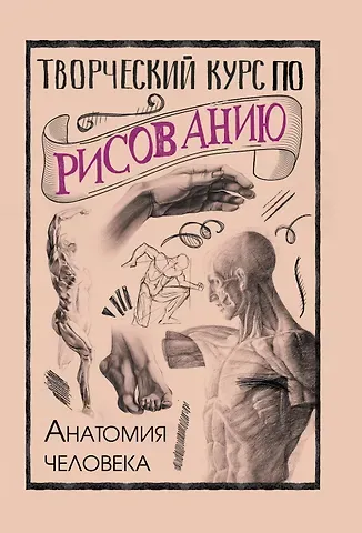 Мистер Грей Творческий курс по рисованию. Анатомия человека