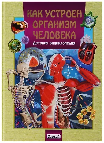 Как устроен организм человека.Детская энциклопедия