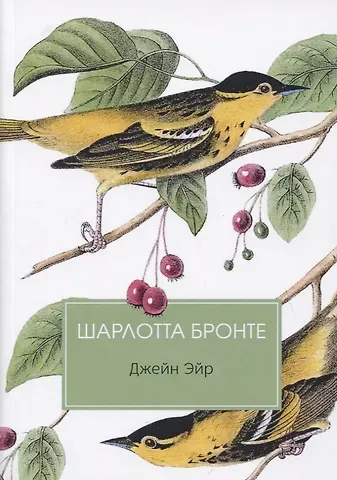 Шарлотта Бронте Джейн Эйр: роман