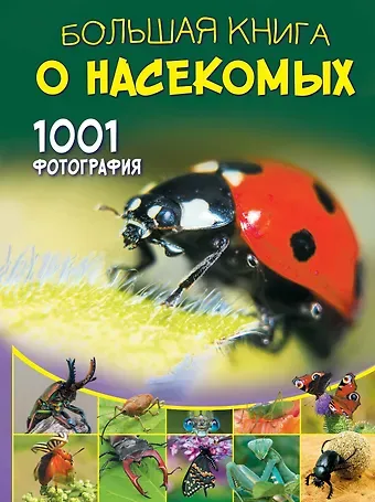 Анна Артуровна Спектор Большая книга о насекомых. 1001 фотография