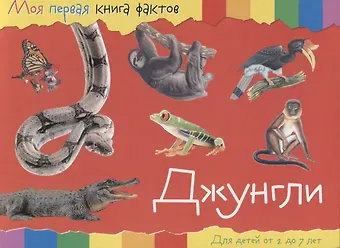 Джунгли. Для детей от 2 до 7 лет