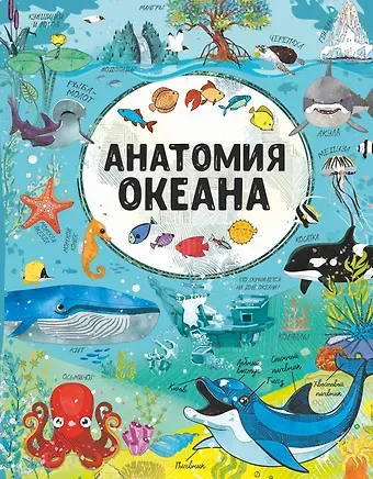 Ирина Геннадьевна Барановская Анатомия океана