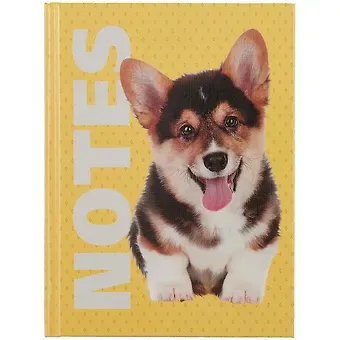 Записная книжка А6 64л кл. 