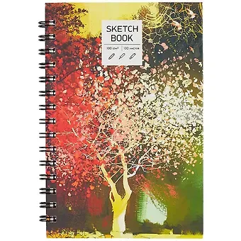 Скетчбук А5 100л 