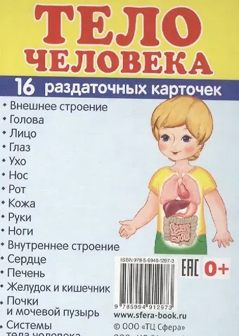 Демонстрационные картинки СУПЕР Тело человека.16 раздаточных карточек с текстом (63х87 мм)