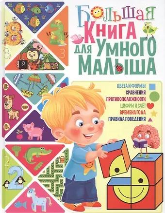 Тамара Викторовна Скиба Большая книга для умного малыша