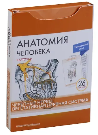 Владимир Николаевич Николенко, М.О. Тимофеева, Михаил Романович Сапин Анатомия человека. Черепные нервы. Вегетативная нервная система (26 карточек)