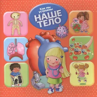 Р. Барсотти Как мы устроены. Наше тело