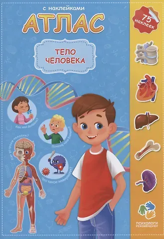 Н. В. Зленко Тело человека. 75 наклеек