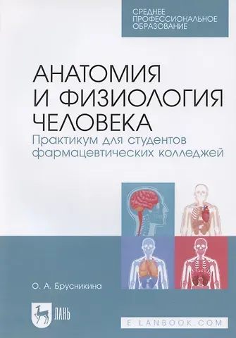 Ольга Алексеевна Брусникина Анатомия и физиология человека. Практикум для студентов фармацевтических колледжей