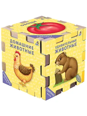 Книжный конструктор 