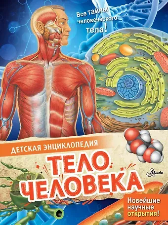 Энн МакРей Тело человека