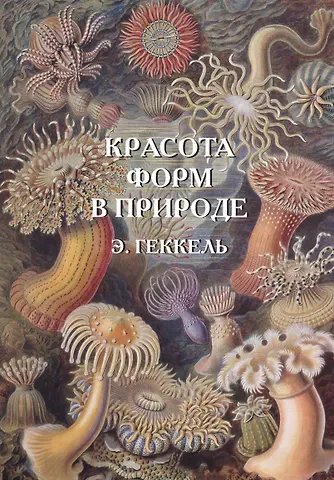Андрей Юрьевич Астахов Красота форм в природе. Э. Геккель