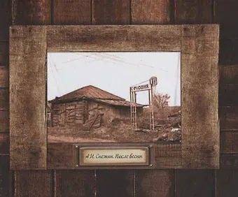 А.И. Снежин После весны