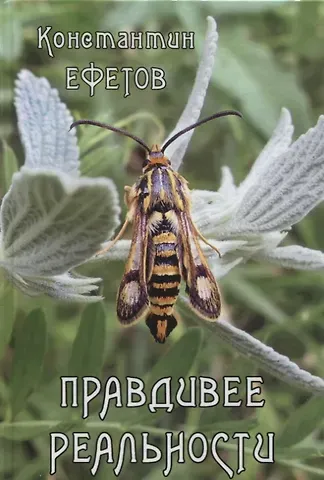 Константин Александрович Ефетов Правдивее реальности