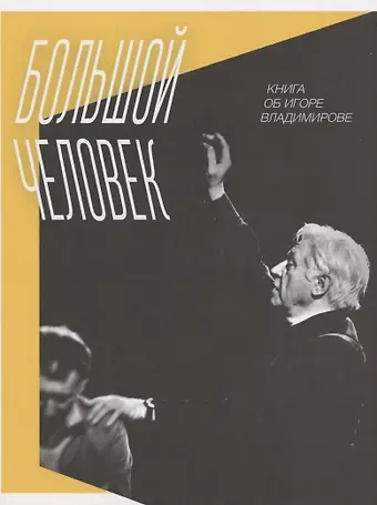 Марина Юрьевна Дмитревская Большой человек: Книга об Игоре Владимирове