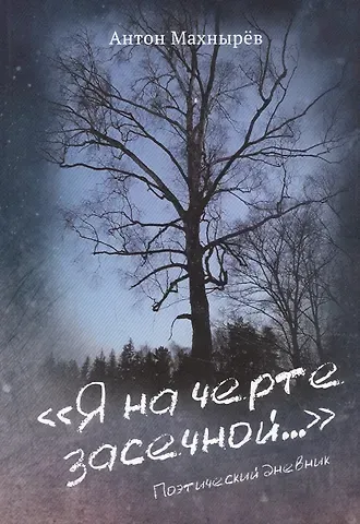 Я на черте засечной…: Поэтический дневник