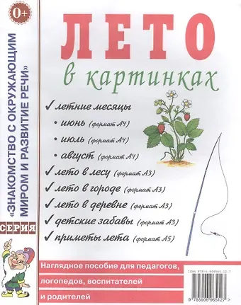 Лето в картинках. Наглядное пособие для педагогов, логопедов, воспитателей и родителей