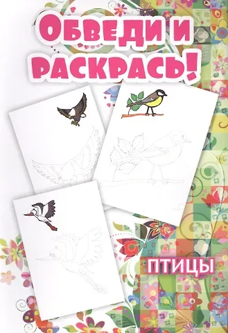 Обведи и раскрась! Птицы