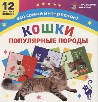 Кошки. Популярные породы. 12 цветных карточек. Всё самое интересное! Набор для занятий с детьми