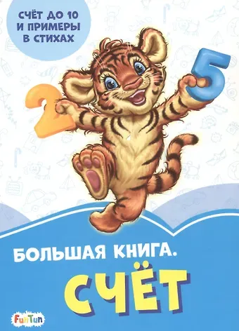 Ирина Солнышко Большая книга. Счет