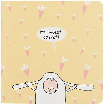 Записная книжка 17*17 40л нелин. 