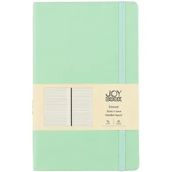 Книга для записей А5 96л лин. 