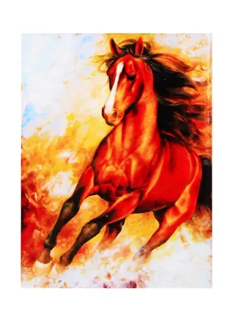 Алмазная мозаика Рус. Кол. Брагинский Вихрь (FW-004) (30x40см) (класс.) (квадр. стразы) (без подрамника) (полн. зап.) (25цв) (Рыжий Кот) (6+) (коробка)