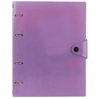 Тетрадь на кольцах в клетку Erich Krause, Vivid, 80 листов, в ассортименте